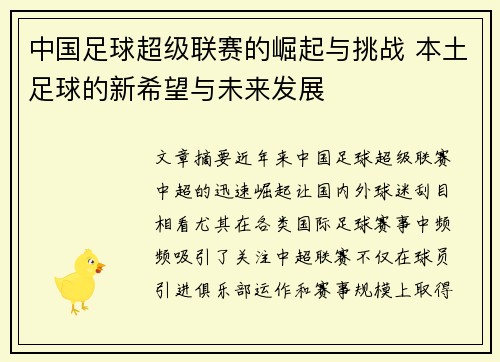 中国足球超级联赛的崛起与挑战 本土足球的新希望与未来发展